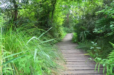 La Réserve Naturelle de l’Etang Noir