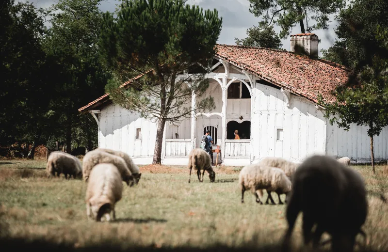 Ecomusée de Marquèze