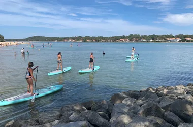 Match de SUP-Polo / Balade avec dégustation d’huîtres