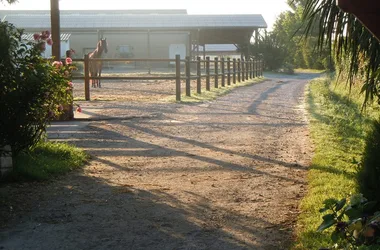 Ecole d’équitation du Menusé St Jean de Marsacq