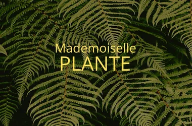 Découverte Nature Landaise par Mademoiselle Plante