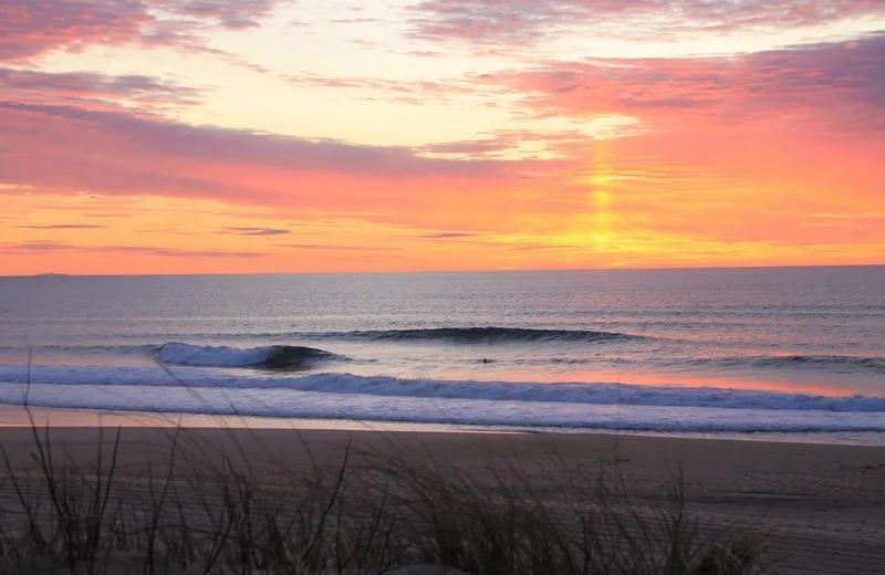 Alternative Surf School