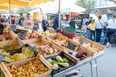 Marché annuel