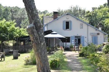 Restaurant Les Roseaux, cadre sauvage face à l’étang blanc