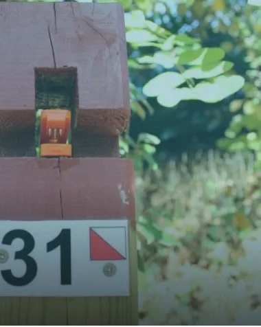 Parcours d’orientation pour les sportifs “côté forêt”