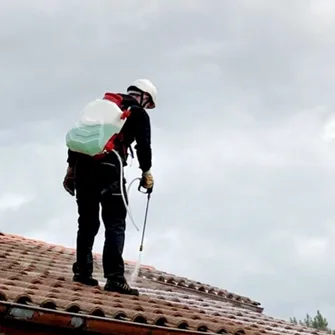 Forestière Nicolas – Nettoyage de toitures