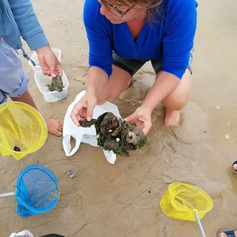 Atelier de pêche à pied