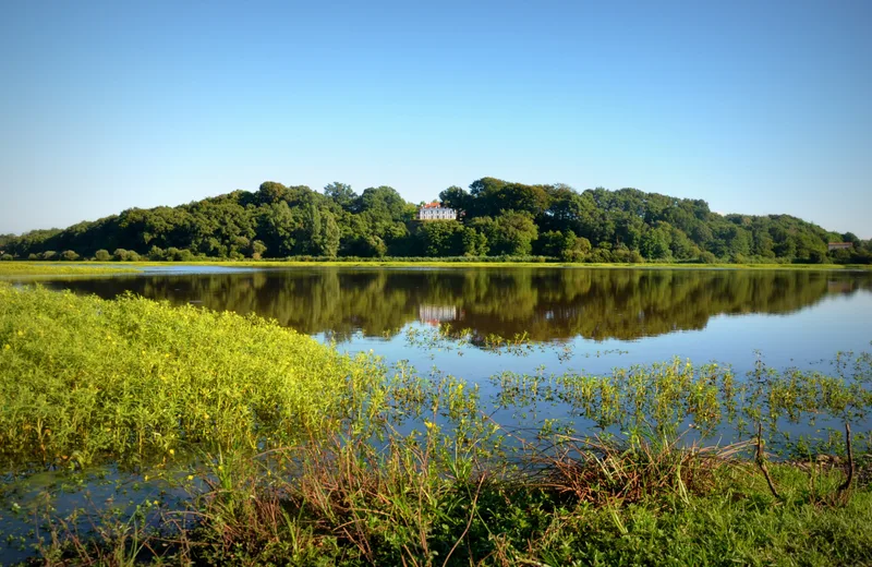 Réserve Naturelle du Marais d’Orx