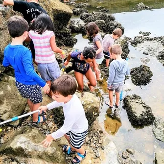 Atelier de pêche à pied