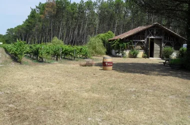 Bergerie des Vignerons de Tursan