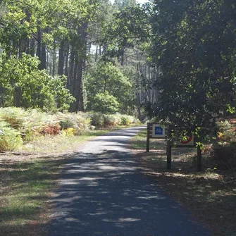 A  Soustons, circuit à la découverte de la forêt – Petite boucle