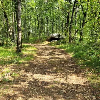 Boucle du Dolmen n°1/Saint-Chamassy