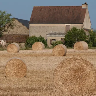 Boucle du Moulin à Vent n° 2 / Plazac