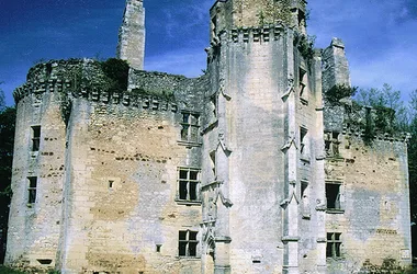 Chateau de l'Herm 1
