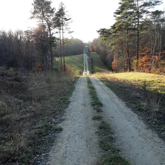 Balade de la biodiversité : Boucle de l’Herm n° 34 /Rouffignac