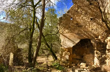 Site Troglo forêt de Campagne