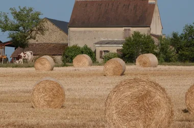 Boucle de l’Orsinie n°4 / Fanlac