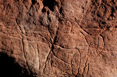 Visites approfondies de la Grotte des Combarelles