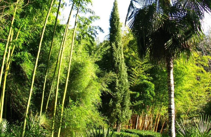 1-Jardín-de-PLANBUISSON