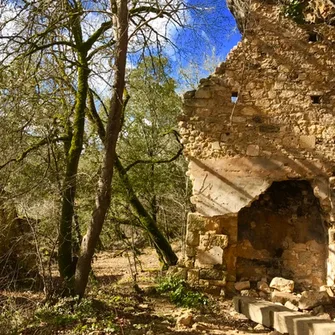 Boucle de la Forêt Nord/ le Polissoir n°5 / Campagne