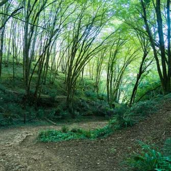 Parcours Trail Le Bugue n°1