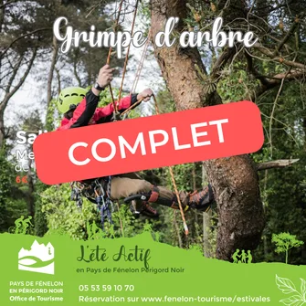 ÉTÉ ACTIF : Grimpe d’arbre