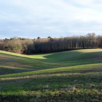 Balade de la biodiversité : Boucle de l’Herm n° 34 /Rouffignac