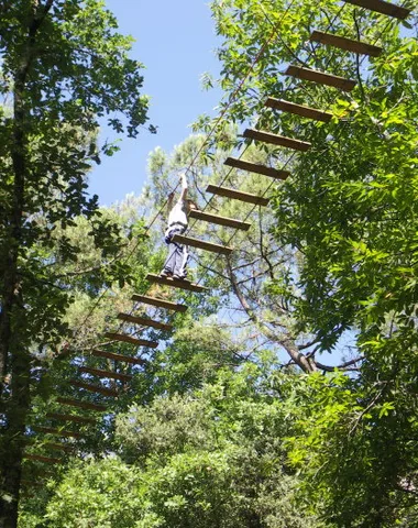 La Forêt des Ecureuils