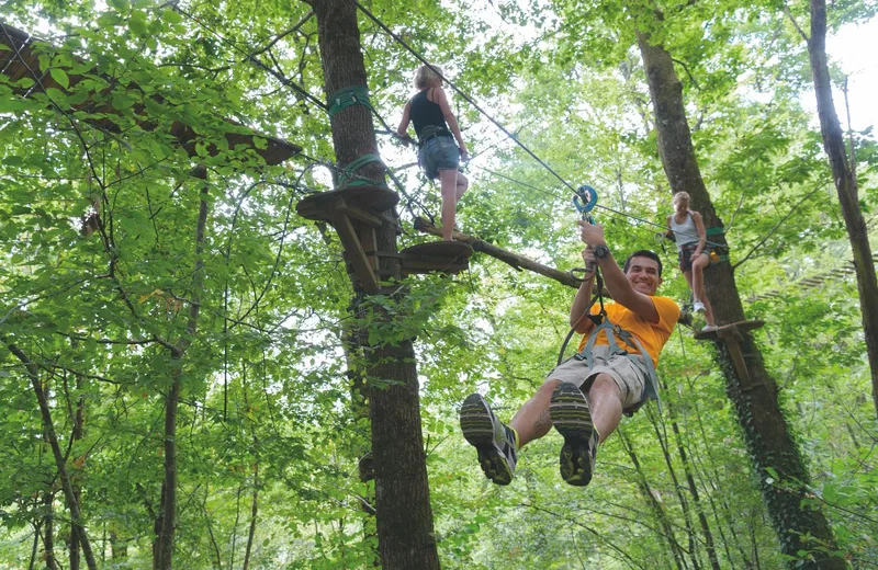 zip line experience in the forest
