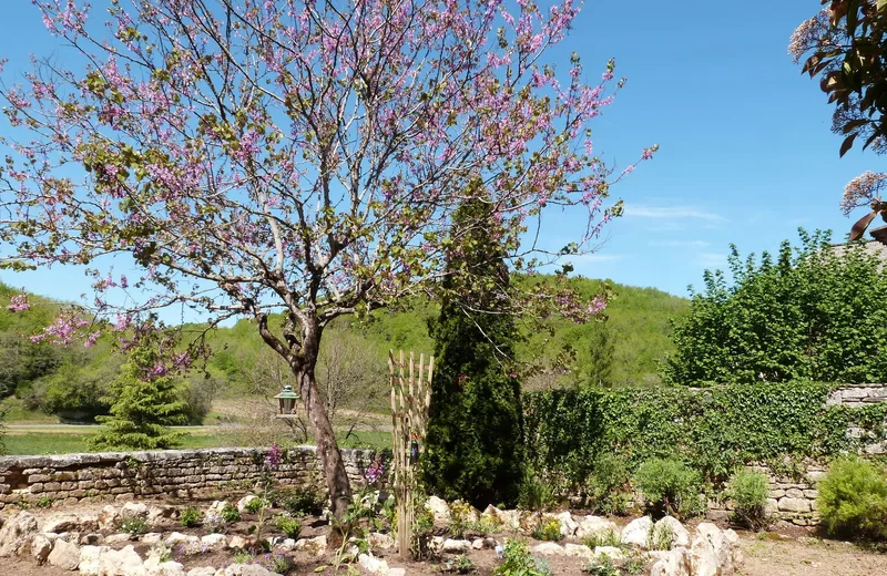 Boucle Bois et Prés n° 24 / Coly Saint-Amand