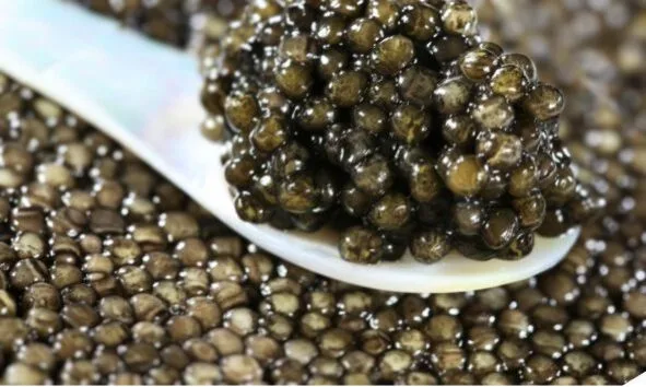 Caviar Perla Negra_Les Eyzies