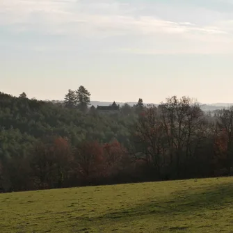 Balade de la biodiversité : Boucle de la Boissonnie n° 25 / Fleurac