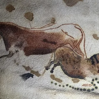 Ophorus – English half day tour : Lascaux IV cave shared