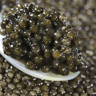 CAVIAR PERLE NOIRE