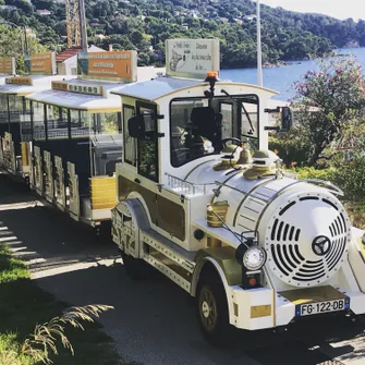 Deux circuits découverte en petit train : La Londe les Maures et Le Lavandou