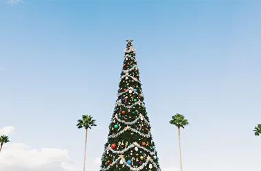 Marché de Noël La Capte