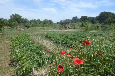 De natuur viert feest in La Londe les Maures