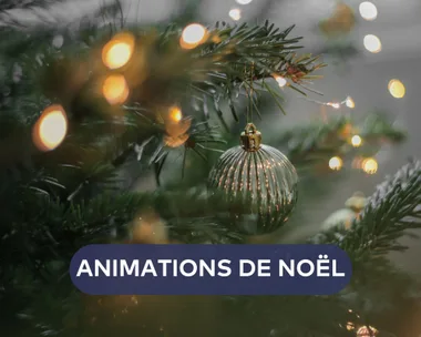 Noël à Toulon – Village de Noël