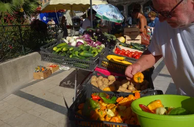 The farmers' market - avenue gambetta Hyeres