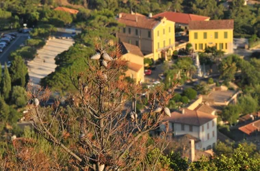 View of the village of Bormes from the path