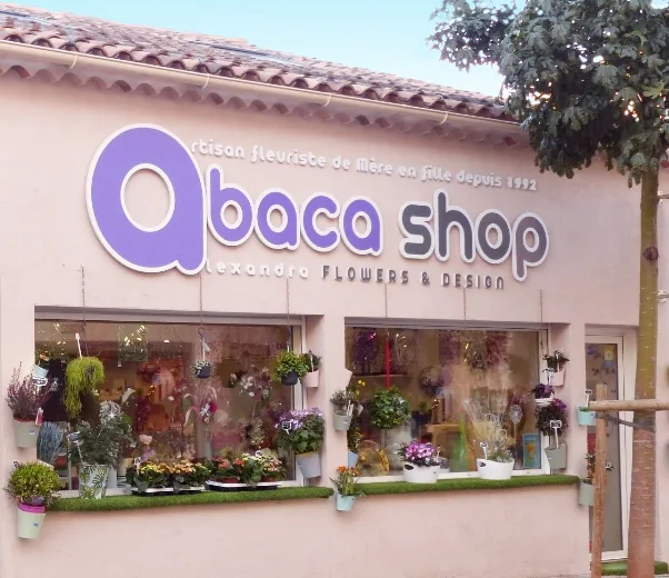 Abaca-Shop