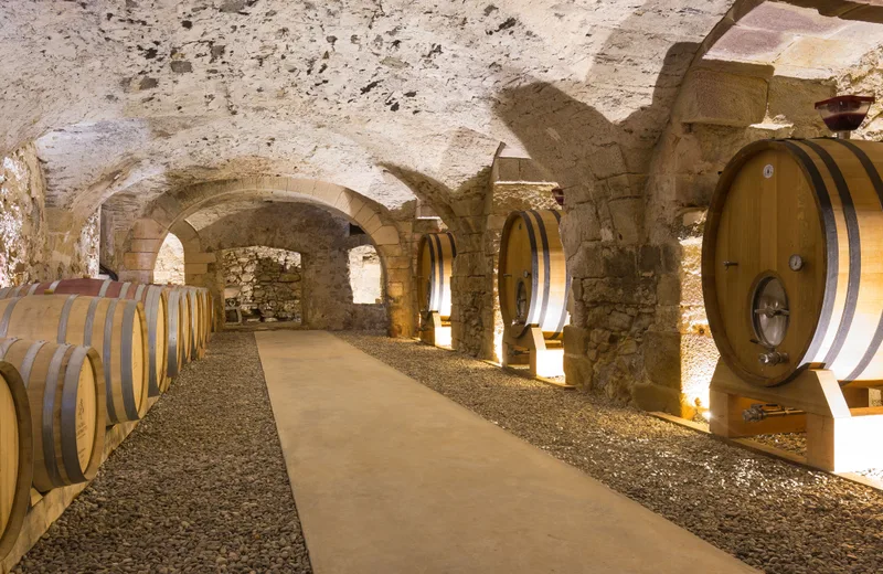 Rondleiding van de wijngaard naar de proeverij in het kloosterkasteel van Bormettes