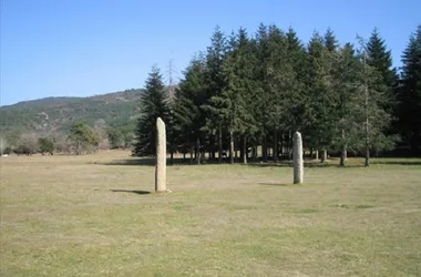 The menhirs of the Lambert plateau