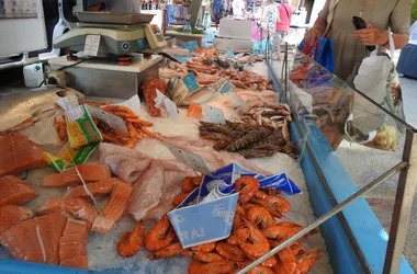 Rayol Market