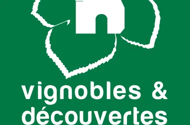 logotipo de viñedo y descubrimiento