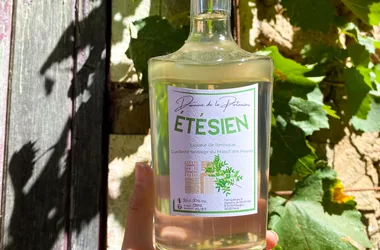Pistachio mastic liqueur: ÉTESIEN.
