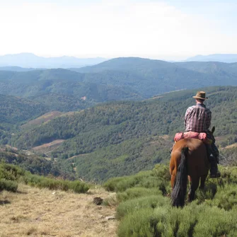 Balade et longues randonnées à cheval  – Domaine de Viaye