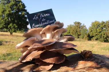 La ferme du Bourbouilloux