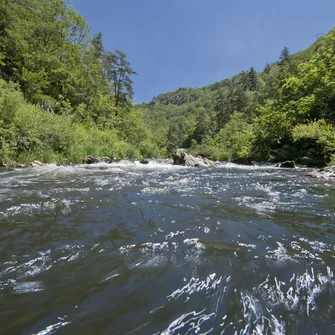 Vallée et Gorges de l’Allier à pied: De St Cirgues au Pont d’Alleyras