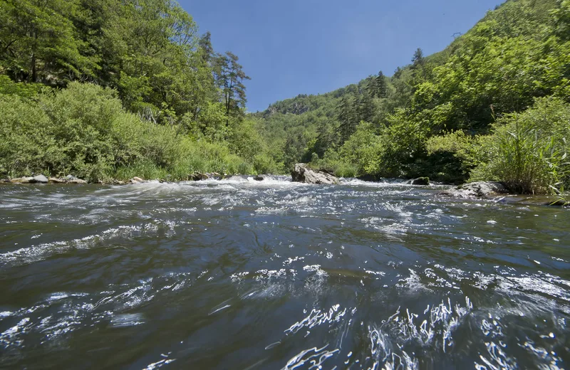 Vallée et Gorges de l’Allier à pied: De St Cirgues au Pont d’Alleyras